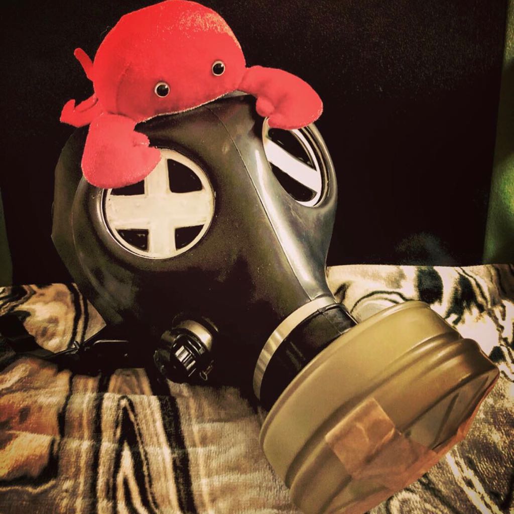 Megahoy モノヴィレありがとうございました デザフェスにて沢山の方からフォローを頂きましたので 改めて自己紹介します 甘 ガスマスクが好きです ガスマスクの絵を描きます ちんまりしたモンスターも描きます 辛いものが主食です 筋トレが