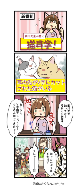『前川先生が驚く猫耳学!』第一話(*'ω'*) 