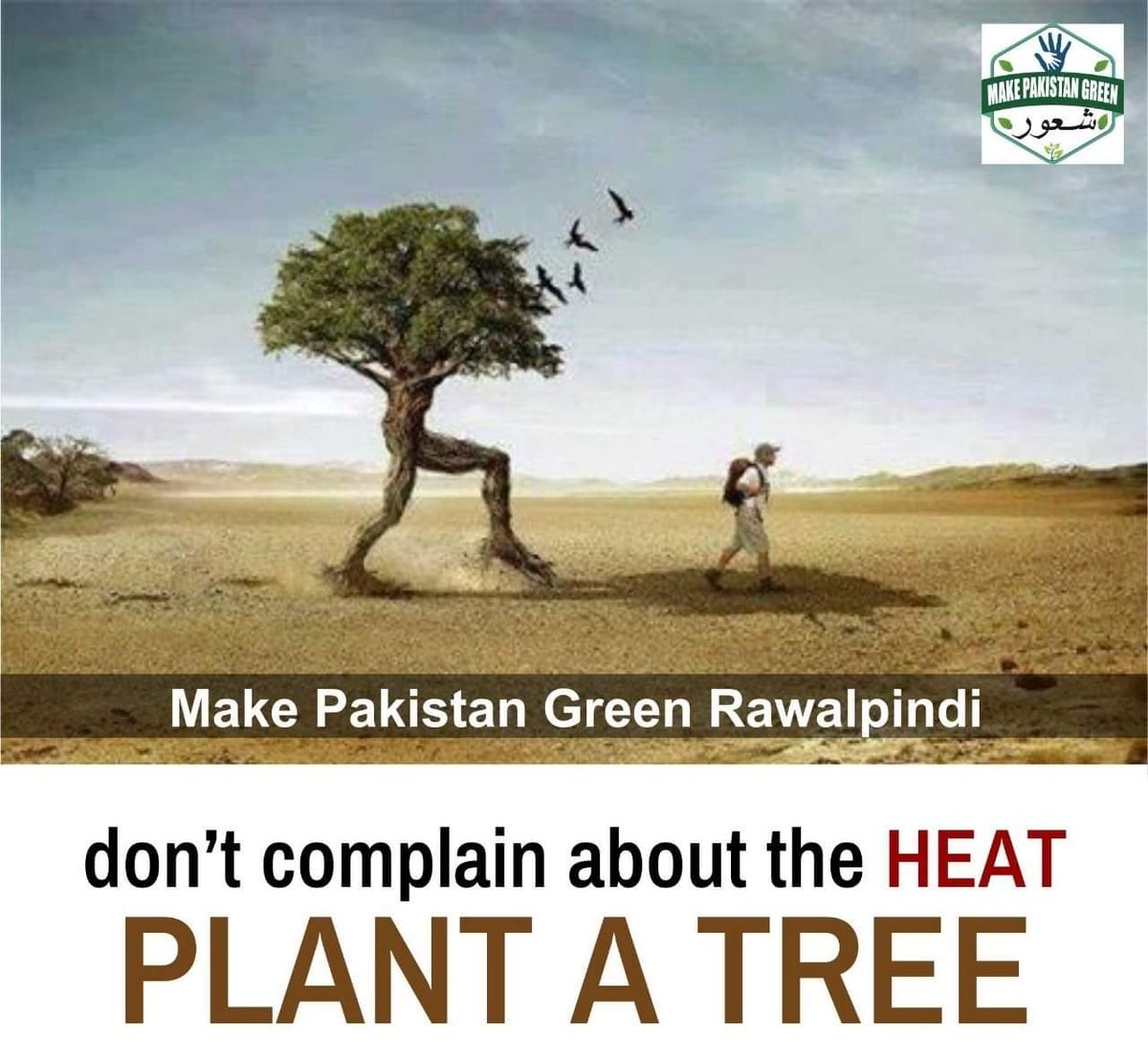 Each part of the tree contributes to climate control, from leaves to roots.

'THE GREATEST FINE ART OF THE FUTURE WILL BE MAKING OF A COMFORTABLE LIVING FROM A SMALL PIECE OF LAND WITH GREENERY.'
#MakePakistanGreen #TeamRawalpindi