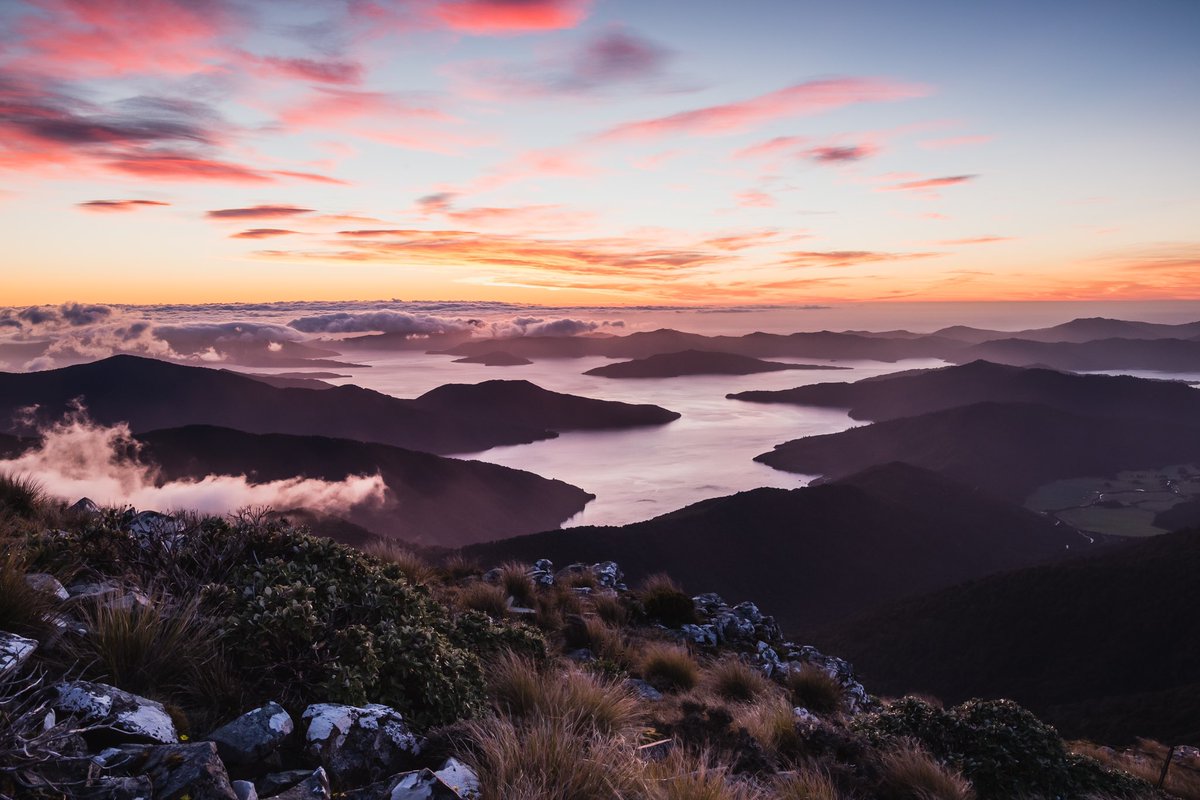 Marlborough is a diverse landscape of spectacular natural beauty and bounty. A combination of a cool yet high sunshine climate, low rainfall and free-draining, moderately fertile soil produces uniquely vivid wines. #NewZealandWine #nzwine #MarlboroughNZ #winelover #SauvignonBlanc