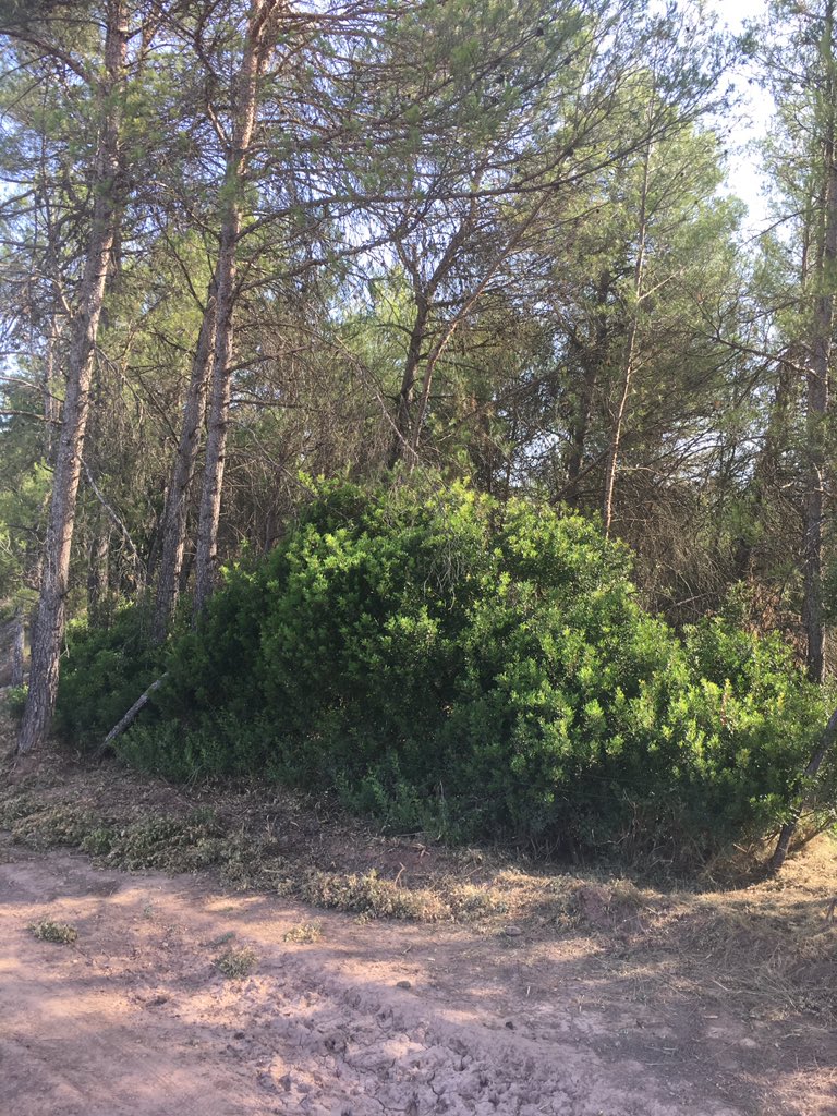 EPAF_REC tweet media