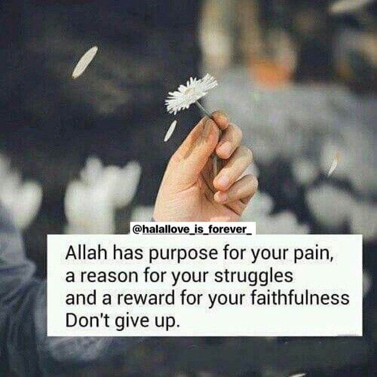 womeninislaam's tweet photo. https://t.co/5Ga6q6v3ra