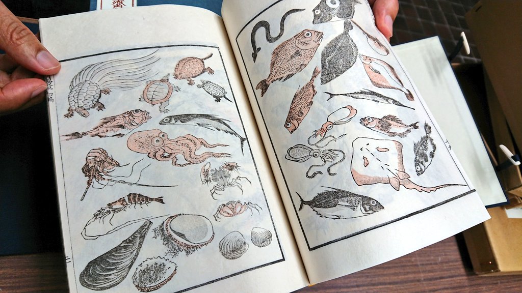 このカオスな版木蔵に収められたオリジナル版木を使って、現役の摺師さんに江戸時代と全く変わらない顔料、技法で刷ってもらうと、こんな風に「北斎漫画」が出来上がります。

写真じゃ分かりづらいのですが、現代のオフセット印刷と違い、和紙の柔らかみや温かみ、意外な発色の良さは格別でした。
