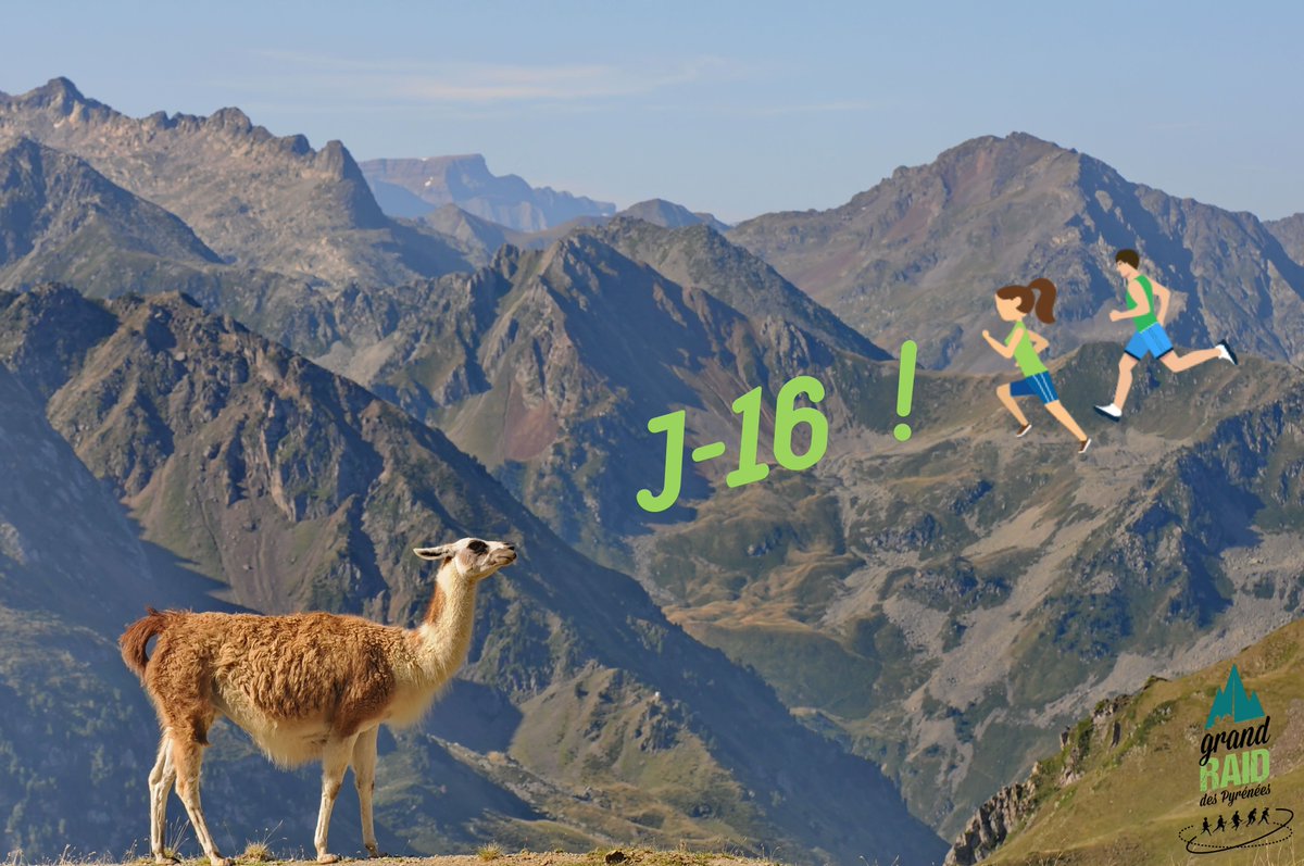 GRP_trail's tweet photo. [J-16 !] 🦙 Les lamas de #LaMongie &amp; du #ColduTourmalet trépignent déjà... 😜

📸 : Grand Raid des Pyrénées - Jean-Luc Ginolin photographe

#grp2019 https://t.co/pVy3DbpMLk