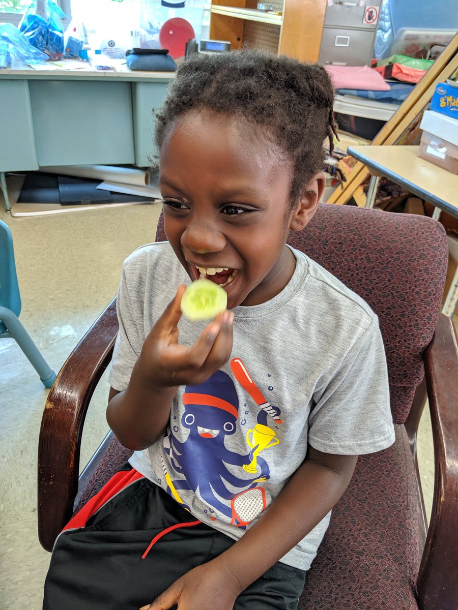 HeatherTechTST's tweet image. #PBL #ProjectInnovation #inclusion Learners in our group preparing a #palletgarden to transplant our seedlings as we explore how living things grow from seeds.
@IthacaNYSchools @KLKiechle
