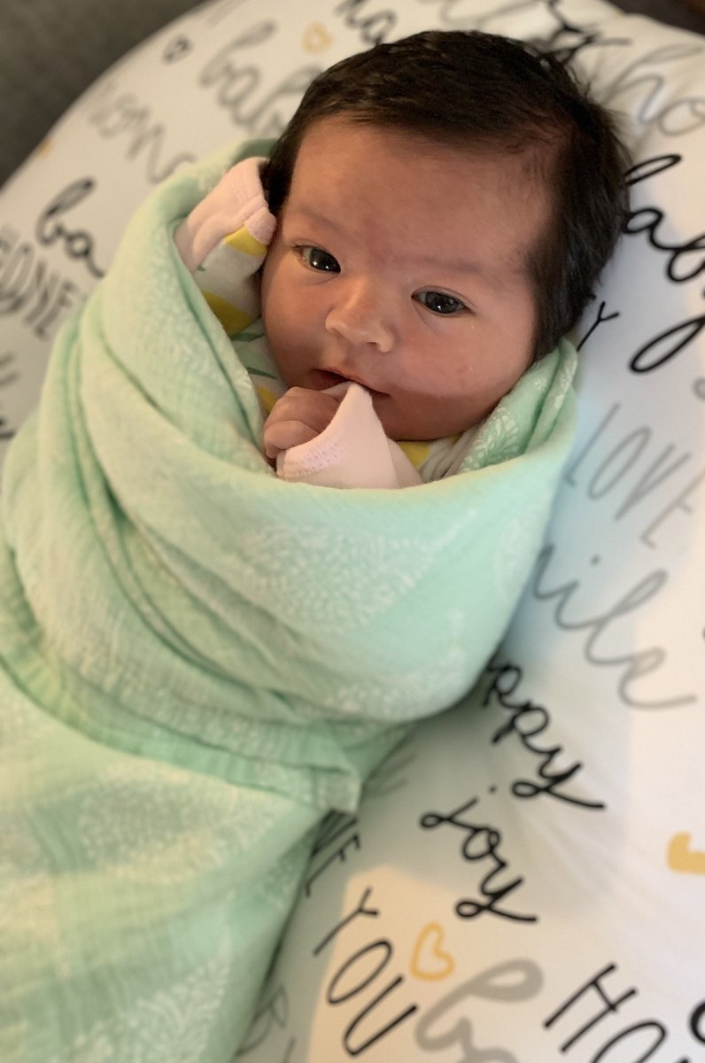 Michael Haar tweet media