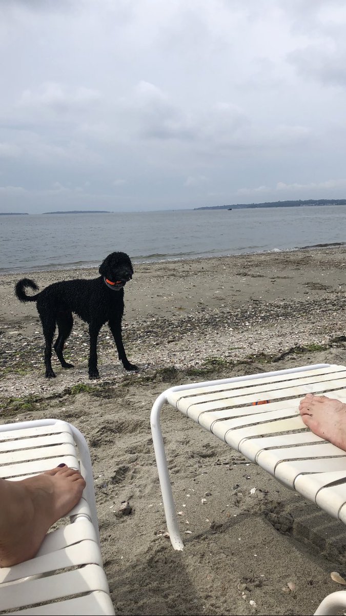 profehendrickx's tweet photo. Family time on RISD beach. Hope you are all having a relaxing August. #restingup #afewmoreweeks #summertime https://t.co/bzhR4PxeSD