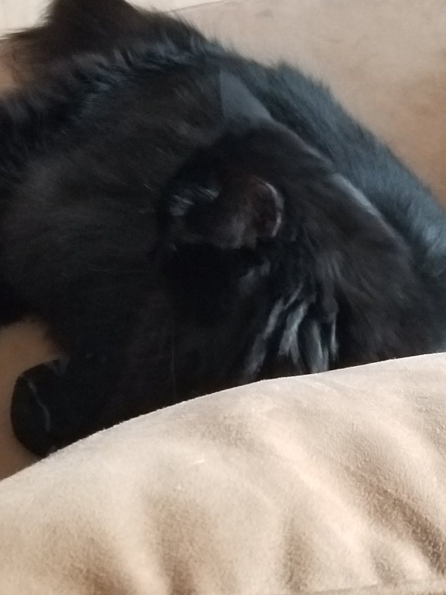calliefattie's tweet photo. MOM IS BACK MOM IS BACK MOM IS BACK MOM IS BACK https://t.co/ZRc5D3qIH3