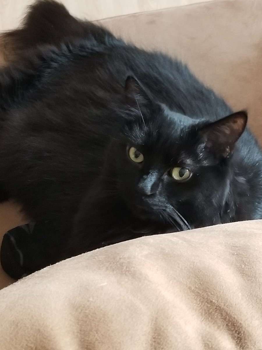 calliefattie's tweet photo. MOM IS BACK MOM IS BACK MOM IS BACK MOM IS BACK https://t.co/ZRc5D3qIH3