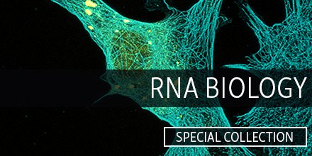 We are pleased to share a collection of some of our most exciting and most read articles about RNA cell biology bit.ly/2STHJFK