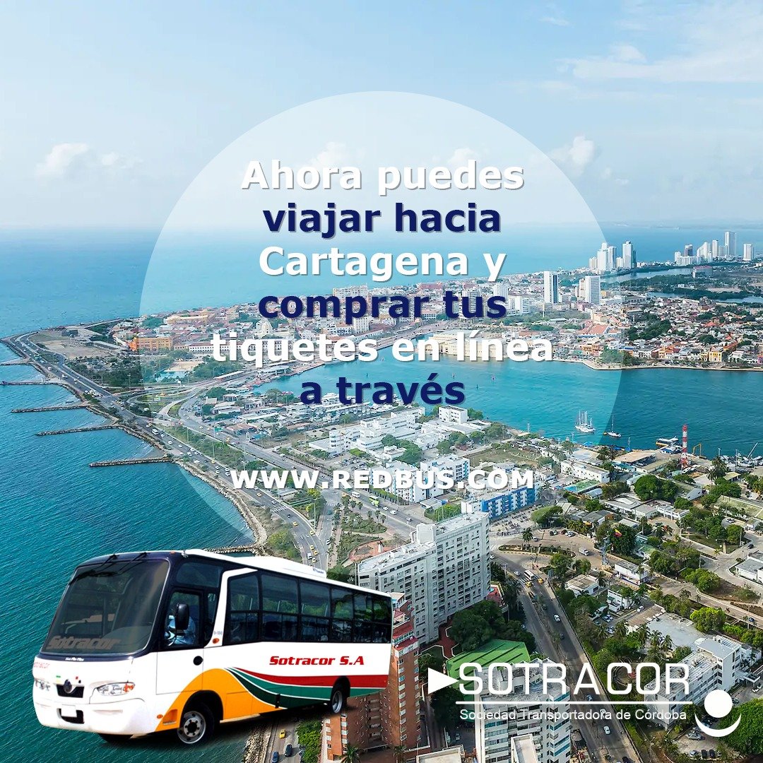 SotracorSA's tweet photo. @redBus_co https://t.co/c4t9E375im