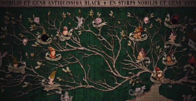 ❝Aꜰʀᴏɴᴛᴀʀᴇ́ ʟᴀ ᴍᴜᴇʀᴛᴇ ᴄᴏɴ ʟᴀ ᴇsᴘᴇʀᴀɴᴢᴀ ᴅᴇ ǫᴜᴇ, ᴄᴜᴀɴᴅᴏ ᴇɴᴄᴏɴᴛʀᴇ́ɪs ʟᴀ ʜᴏʀᴍᴀ ᴅᴇ ᴠᴜᴇsᴛʀᴏ ᴢᴀᴘᴀᴛᴏ, ᴠᴏʟᴠᴇʀᴇ́ɪs ᴀ sᴇʀ ᴍᴏʀᴛᴀʟ.❞

             【𝑅𝑒𝑔𝑢𝑙𝑢𝑠 𝐴𝑟𝑐𝑡𝑢𝑟𝑢𝑠 𝐵𝑙𝑎𝑐𝑘.】