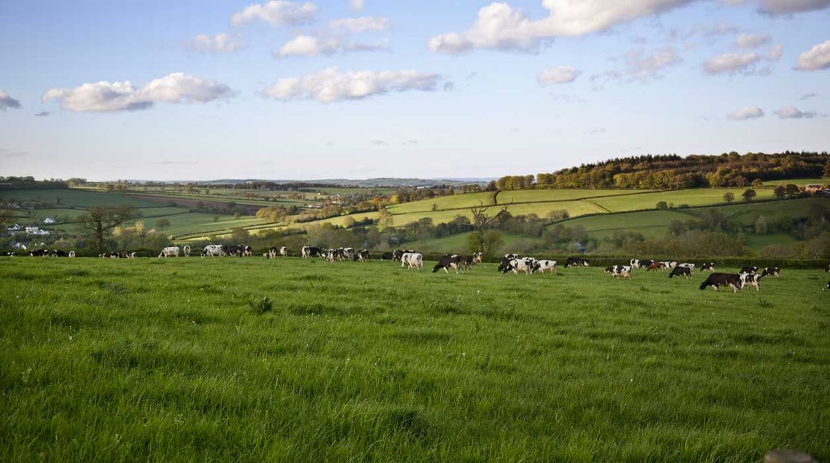 The last #summer bank holiday is almost here!☀️

🤩soak in the last bit of sun and relax by your tent while the little ones roam by the area and meet the farm animals 🐷🐮Take a look which locations still has availabilities on the week of 26th August > bit.ly/2yMph8x