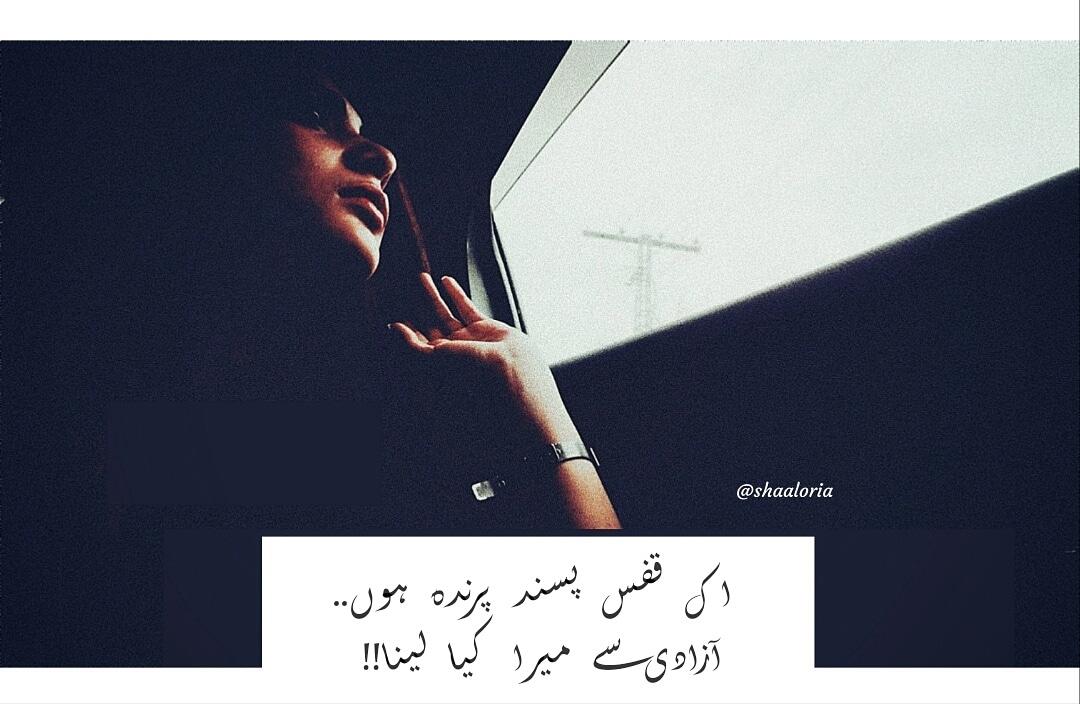 #urdulover #bilingual #randomthoughts #mywords #myphotography #tweet #UrduPoetry @Shaaloria