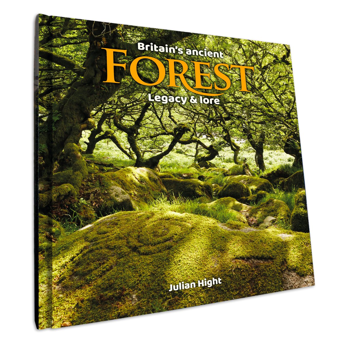 Very pleased to announce the imminent release of my new book: Britain's Ancient Forest – legacy and lore. You can learn all about it and get involved here: indiegogo.com/projects/brita… #forests #forest #trees #tree #book #music