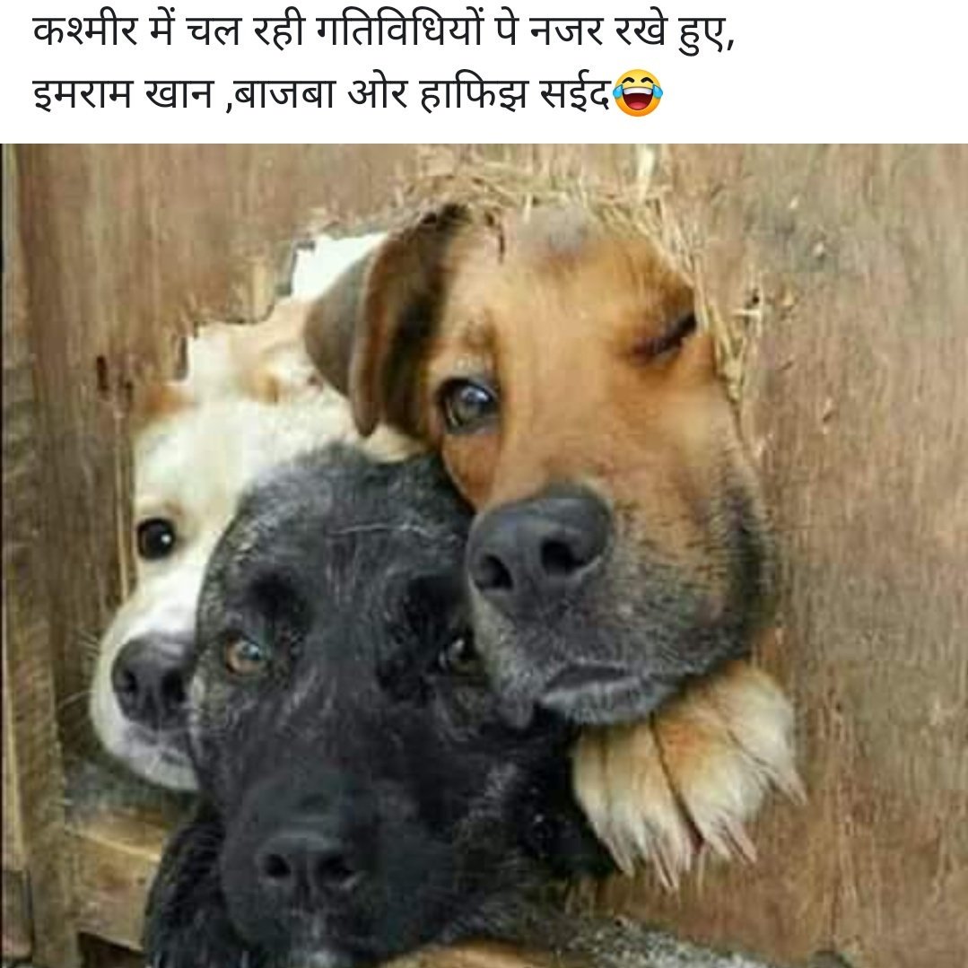 Bhavook Singh 🇮🇳 tweet media