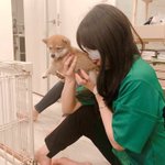 これぞ脱法ドッグw中毒性が高すぎるので覚悟して吸うべしw