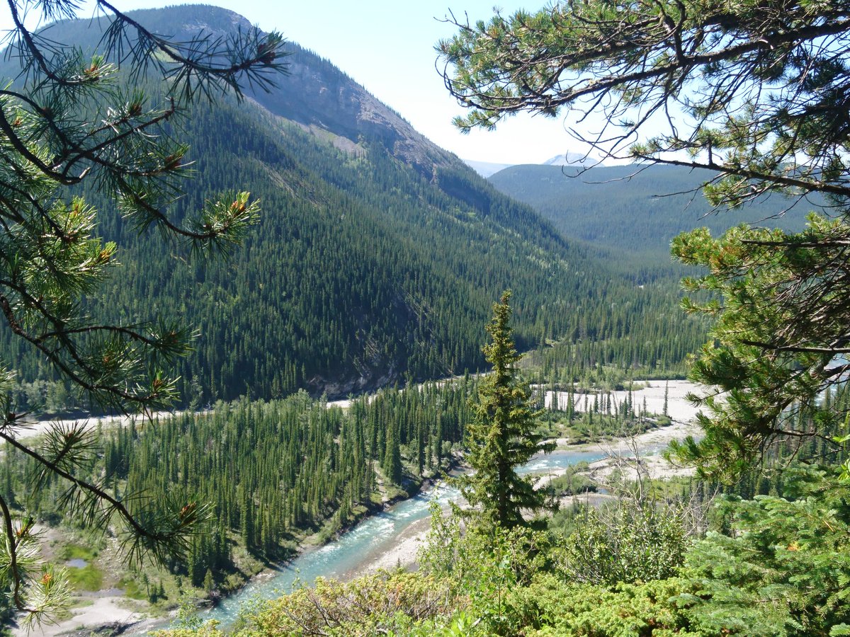cupcakelassie's tweet photo. Prairie Mountain 🇨🇦 ⛰️ https://t.co/WxDEPQJMIW