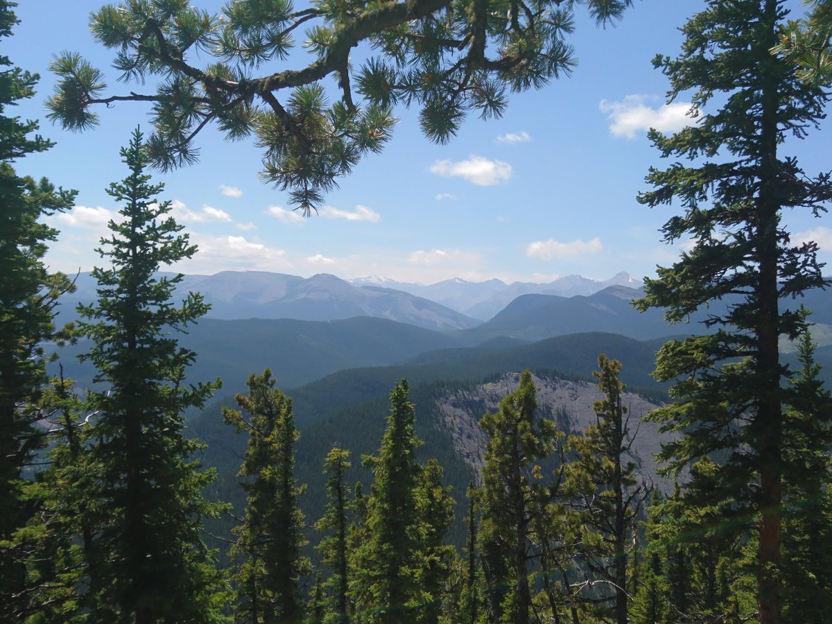 cupcakelassie's tweet photo. Prairie Mountain 🇨🇦 ⛰️ https://t.co/WxDEPQJMIW
