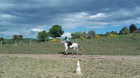 Découvrez nos cours d'équitation en carrière, ouvert toute l'année. Cours particuliers au prix du cours collectif ! vazeille07.wixsite.com/relais-de-vaze…