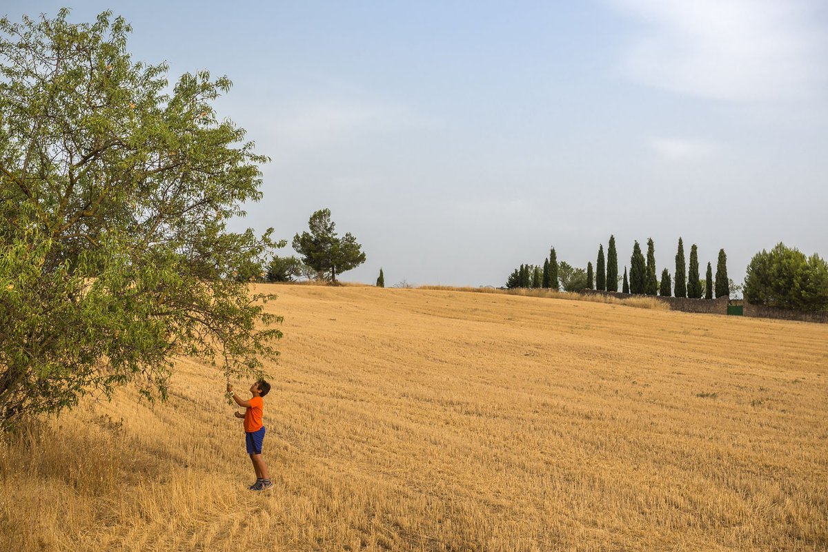bagesturisme's tweet photo. Paisatges d'estiu al #Bages. Qualsevol moment de l'any és bo per conèixer aquesta joia amagada a tocar de #Barcelona 

#bagesturisme #estiu #vacances #natura #paisatges #turismeslow #ambcalma

@BCNmoltmes @catexperience https://t.co/H1GGiQezNx