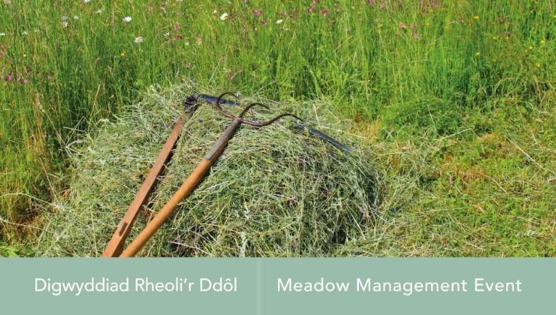 @NthEastWales @leaderlive @DeesideDotCom @FWeprepark @ConnahsQuayTC @DiscFlintshire A traditional day on the land, with a break for a barbecue lunch. Bring the family and help rake hay from our Education Area. THURS 8th AUGUST 2019 11am - 3pm Book in advance - 01352 703900 #WeprePark Visitors Centre.