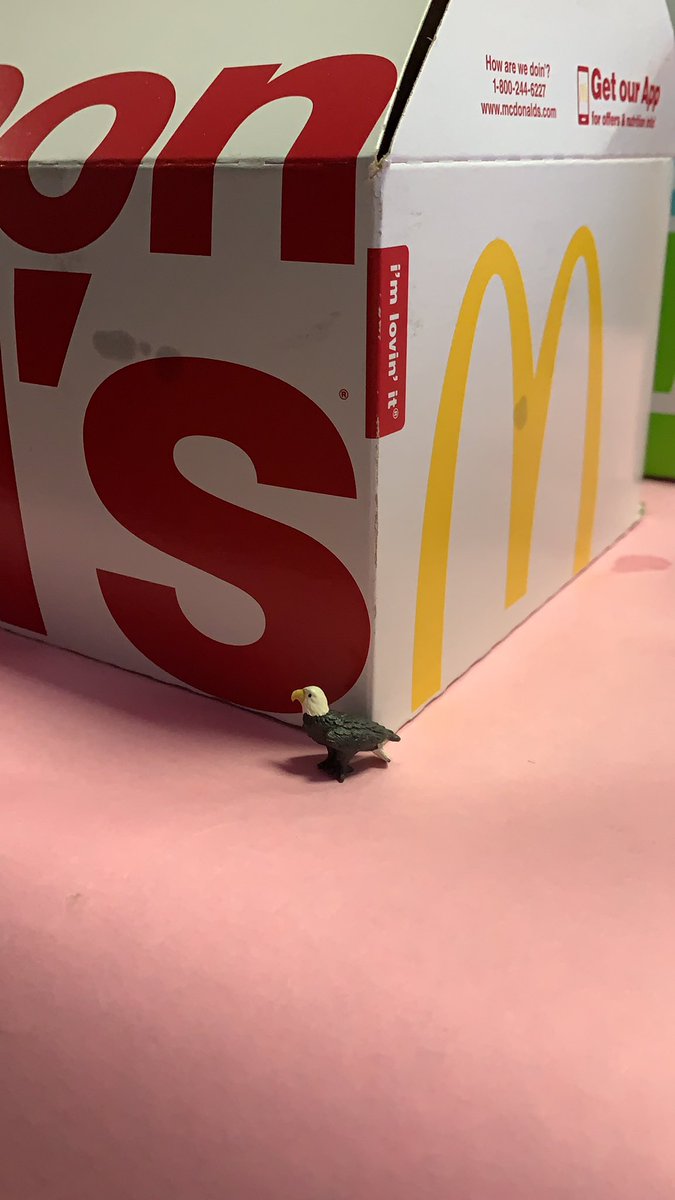 Avery Tosh tweet media