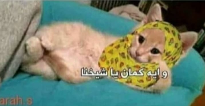 bkleeb0's tweet photo. لما الاقي الاكس منزل كلام ديني!! 😂💖 https://t.co/V8tLBQRKAe