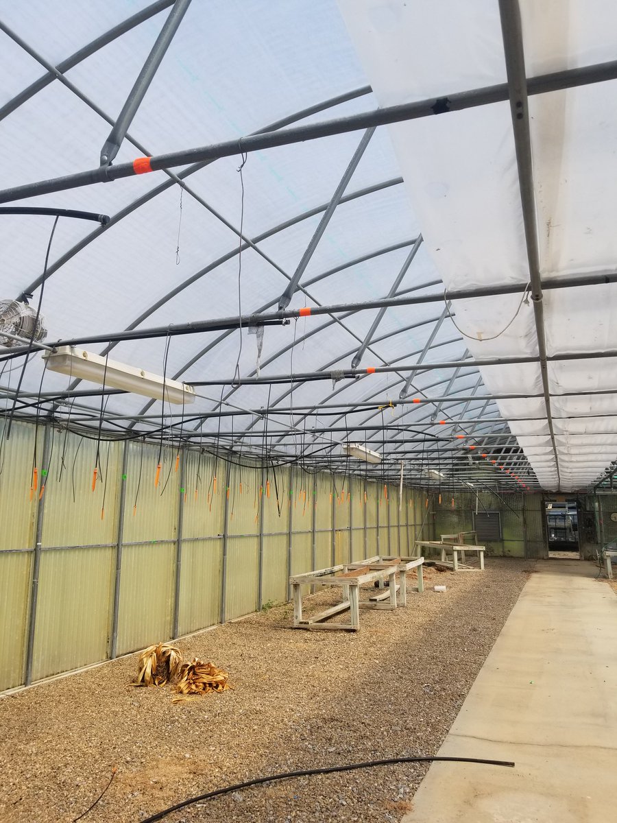 Let's move a greenhouse! #BeAGameChanger #APLang #APchemistry #agriculture #STEAM #cdhsffa