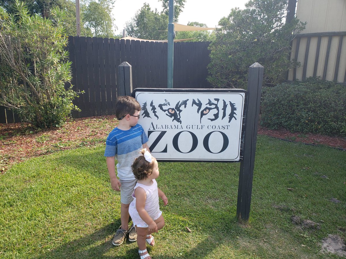 benmartino985's tweet photo. Kiddos enjoying another adventurous week. #SandForDays #CatchingFish #ObstacleCourse #ZooAnimals @VisitALBeaches @ALGulfCoastZoo @FishOrangeBeach https://t.co/A4ADHVlqQ6