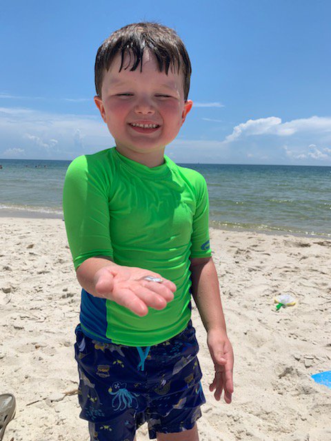 benmartino985's tweet photo. Kiddos enjoying another adventurous week. #SandForDays #CatchingFish #ObstacleCourse #ZooAnimals @VisitALBeaches @ALGulfCoastZoo @FishOrangeBeach https://t.co/A4ADHVlqQ6