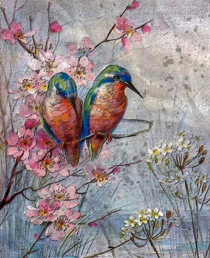Fundacion Colibri on Twitter: Fundacion Colibri on Twitter: