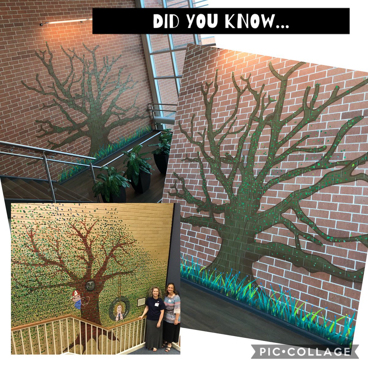 Matzke Elementary tweet media