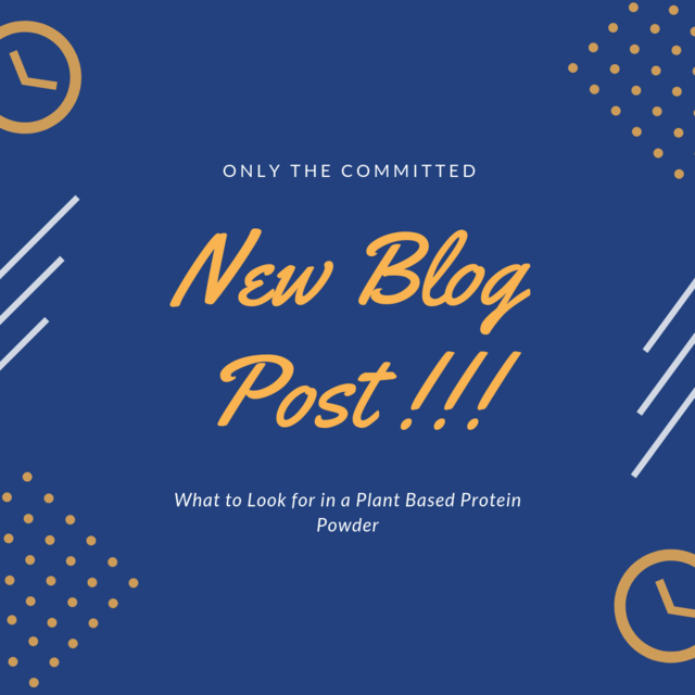 committed2play's tweet image. Finding time for the gym can be tough. Especially if you have a job, kids, and a busy schedule. Need ideas on how to stay fit on a busy schedule? Click the link in our bio.
 #fitness #nutrition #committed #onlythecommitted #fitnesslifestyle #fitnessmotivation #fitnessblogger