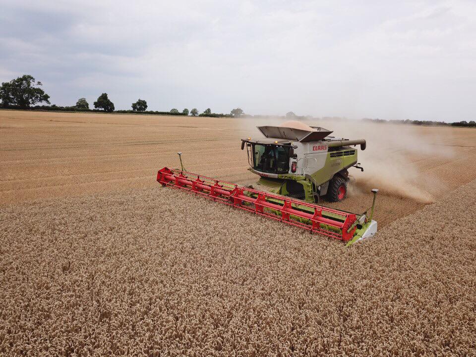 HutchinsonsAgUK's tweet photo. The First Harvest of the Helix Project - We’re Combining Skyfall Wheat at #HelixFarm
Stay tuned as we analyse the field’s performance with @Omniaprecision to make informed updates to Helix’s projects
Learn more about the Helix project at https://t.co/3mpfe9LiXs https://t.co/L847MgMWGm