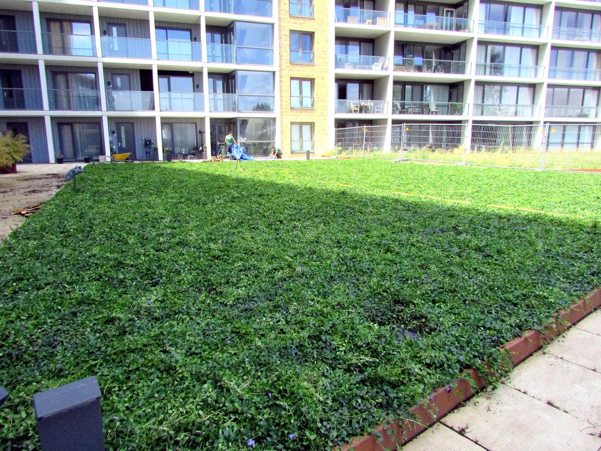 #plantmatten hashtag on Twitter