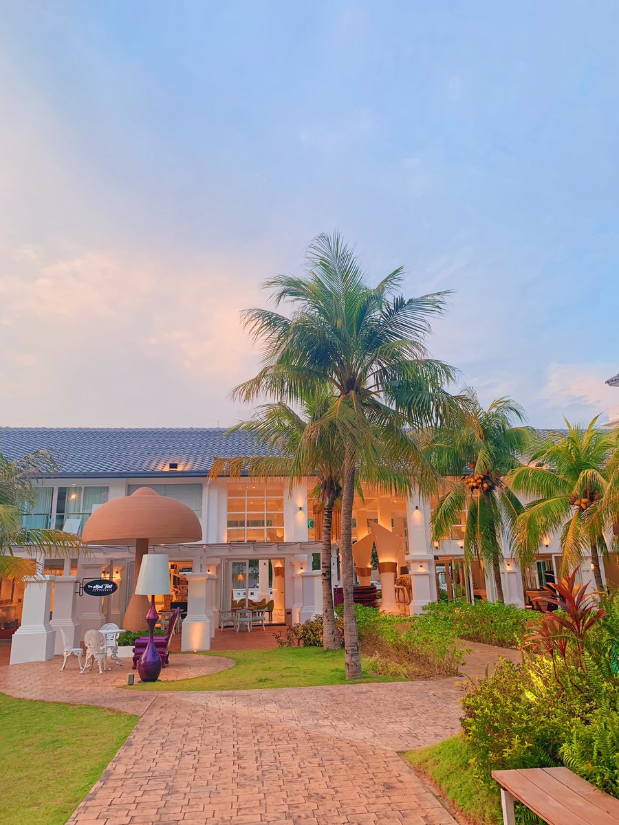 iraadnan_'s tweet photo. More pictures of Dash Resort Langkawi. 2 nights stay here sumpah tak cukup! The pool plays songs by a dj from 4pm till 8pm. So you can swim AND dance ! https://t.co/JjhUrwG4yq