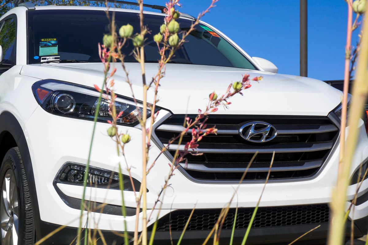 NevadaCJ's tweet photo. Not every vehicle on our lot is a Chrysler/Jeep! We offer a wide selection of used vehicles in a variety of makes and models. Visit our website to view out inventory of used cars. You just might strike a deal! https://t.co/2iOkGZ6WVe https://t.co/rVJVAPKwJh