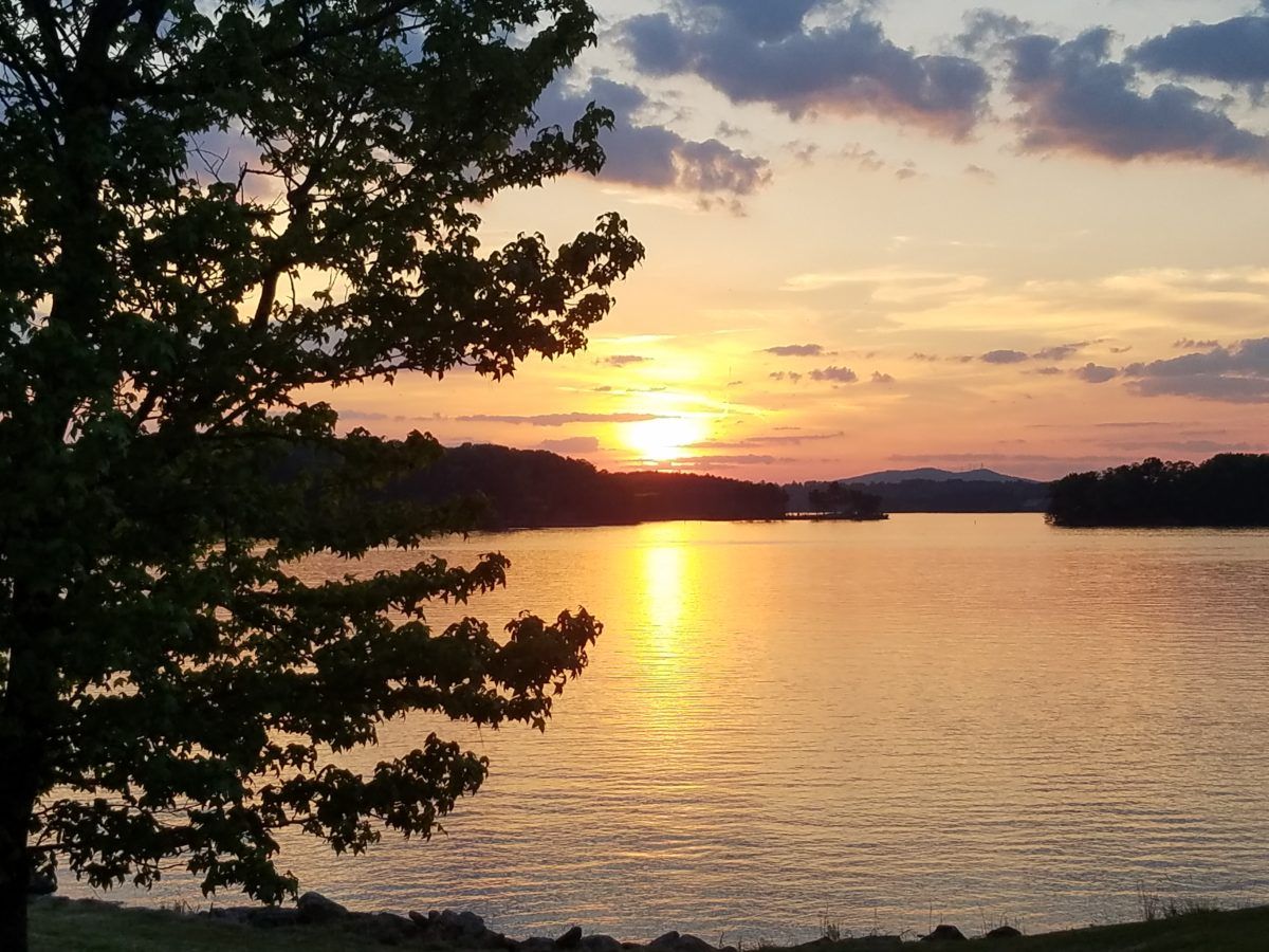 LakeLanier.com tweet media