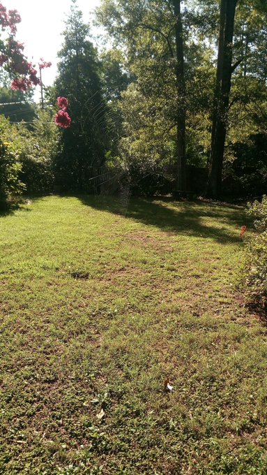 I almost ttoom ouy this spider web four times this morning thankfully for his hard works sake and thr<a href="/tag/sugarmama"class="tags"><span>#sugarmama</span></a>