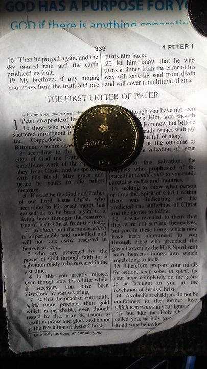 essentials of nucleic acid analysis a