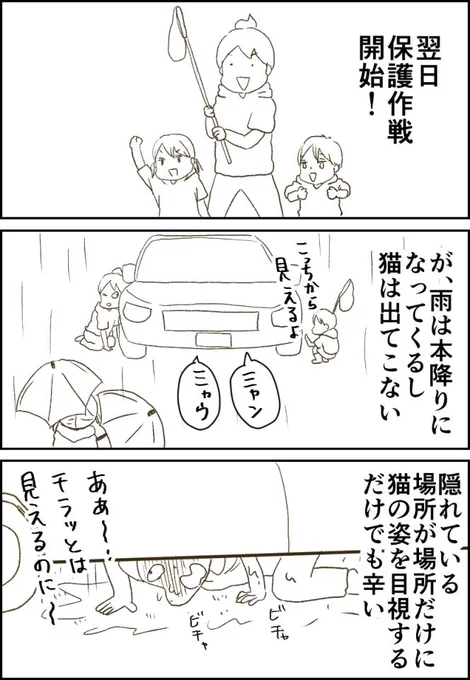 子猫保護作戦開始一日目⑤ 続きはこちら→ https://t.co/QGJjUzlBjO  #猫 #保護猫 