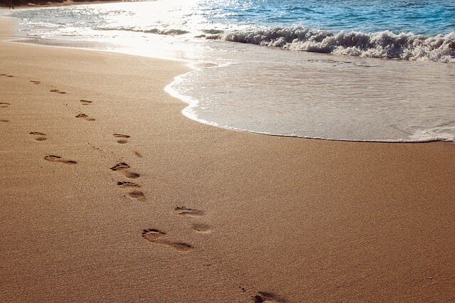 RealSaltLife's tweet photo. What better place to celebrate #WiggleYourToesDay than the beach!? 🏖👣 

#salty #SaltLife #beach #ocean #summer #vacation #sun #sand #surf #fishing #diving #happy 

RT, LIKE &amp; TAG for a chance to win some https://t.co/MilHJ0w1O8 #swag or a #couponcode for all your #beach gear! https://t.co/IjeZViu9Gn