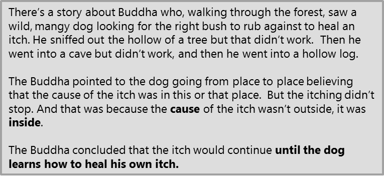 MMwithBF's tweet photo. The story of the Itchy Dog: https://t.co/u1vt4gGe2A