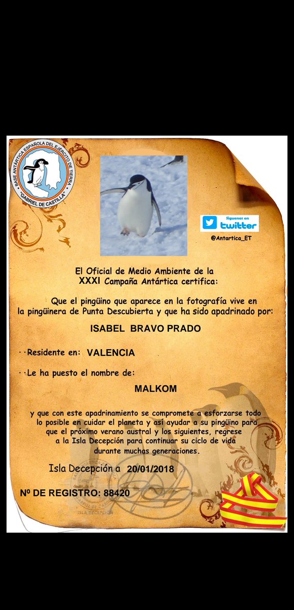 Sabelabravo's tweet photo. @Antartica_ET @EjercitoTierra @greenpeace_esp @WWFespana @NatGeoEspana #Malkom,mi ahijado. https://t.co/DNQzDufDYH