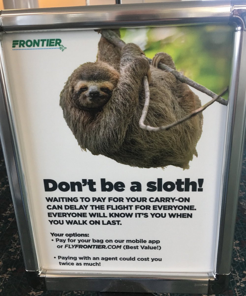Why do you have to insult the sloths?  #travel #airport #sloths