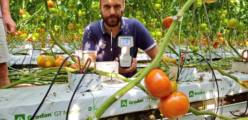 DKG_Consulting's tweet photo. #GroSens multisensor system installation at Thrace Greenhouses (18.5 Ha) .Great cooperation among Maarten, Arsenis,Sakis and Christos @MyUltraLife @Grodan @E_Drimtzias @IQcrops @irtcs https://t.co/NdoHwFKwQE