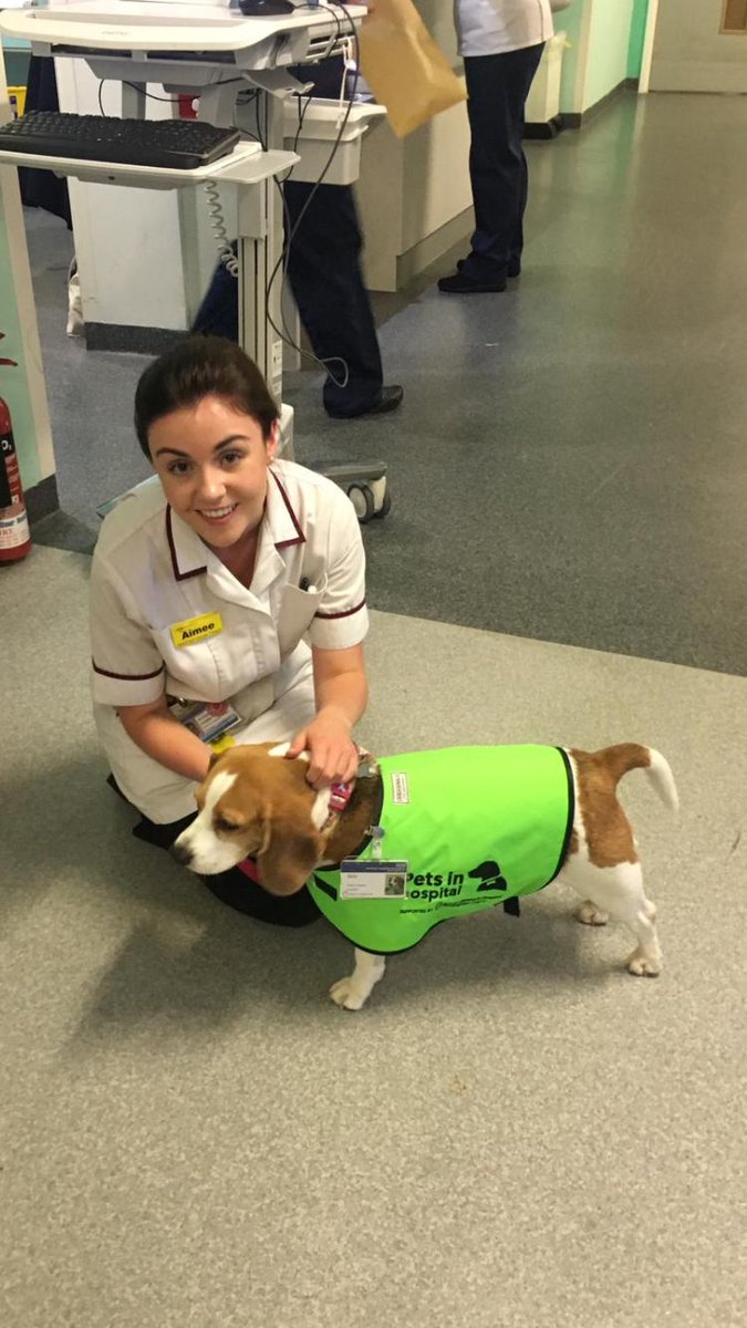 jo_wheeler1's tweet photo. H&amp;N Specialist SLT Aimee, with Bella, one of the QEHB therapy dogs following her referral for a patient on the ward &amp; thinking outside the therapy box https://t.co/KrPmL3CFnr