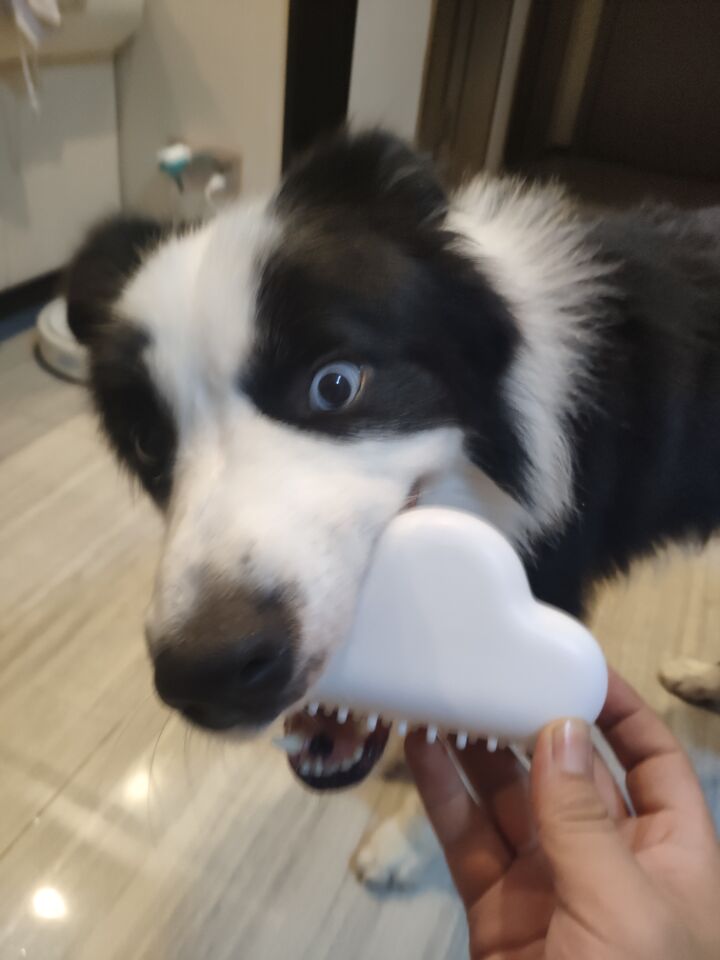 SwitchBot's tweet photo. Seriously? Our dog was like ...
#SwitchBot #SwitchBotHubPlus in danger. You probably gonna see more of these... https://t.co/YTZk4p8mxH