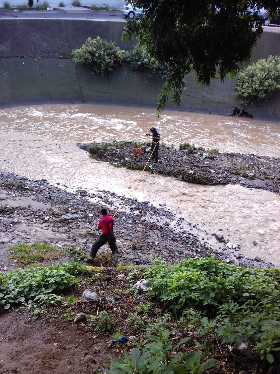 Ciudad Naucalpan / Gobierno Municipal 2025-2027. tweet media